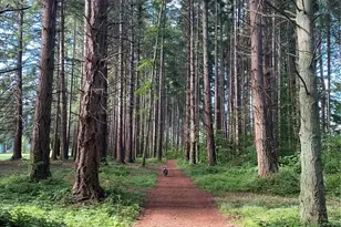 16 A Saratoga (Including D-15) Dr, Hat Island, WA 98206 - Photo 35