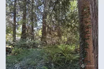 13705 W Lake Kathleen Drive SE, Renton, WA 98059 - Photo 3