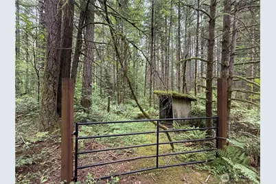 13257 118th Avenue NW, Gig Harbor, WA 98329 - Photo 19