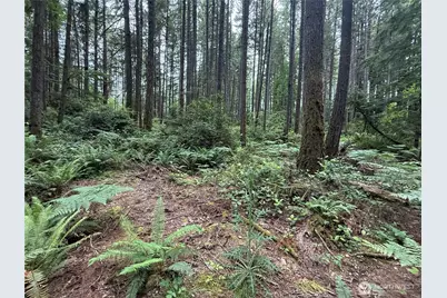 13257 118th Avenue NW, Gig Harbor, WA 98329 - Photo 17