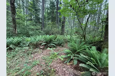 13257 118th Avenue NW, Gig Harbor, WA 98329 - Photo 9