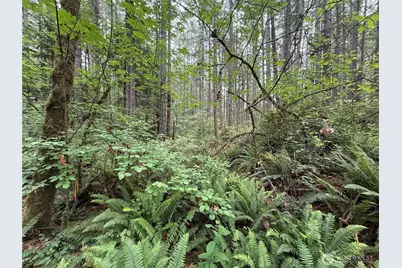 13257 118th Avenue NW, Gig Harbor, WA 98329 - Photo 7