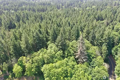 13257 118th Avenue NW, Gig Harbor, WA 98329 - Photo 5