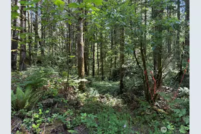 13257 118th Avenue NW, Gig Harbor, WA 98329 - Photo 23