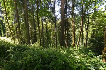 2427 Archwood Drive, Longview, WA 98632 - Photo 7