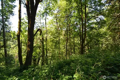 2429 Archwood Drive, Longview, WA 98632 - Photo 7