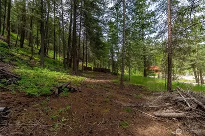 7 Howerton Road, Twisp, WA 98856 - Photo 1