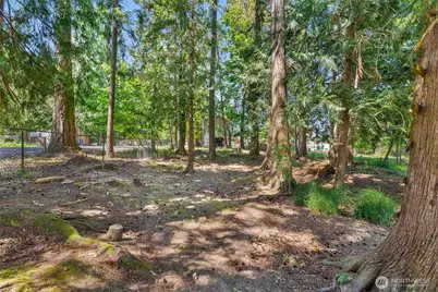 101 Shenandoah Drive, Silverlake, WA 98645 - Photo 31