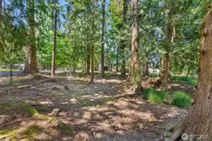 101 Shenandoah Dr, Silverlake, WA 98645 - Photo 31