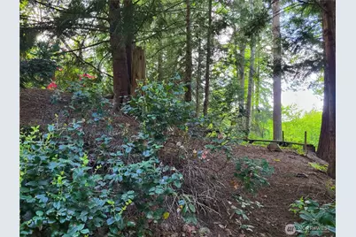 6308 NE 151st Street, Kenmore, WA 98028 - Photo 3