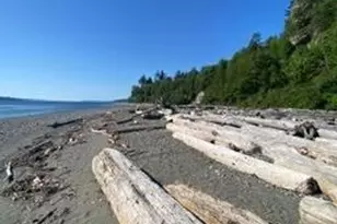 1-X Beach Way, Hat Island, WA 98206 - Photo 39