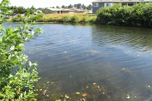 32404 G St, Ocean Park, WA 98640 - Photo 7