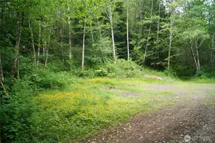 0 Off Of Panhandle Rd, Hoquiam, WA 98550 - Photo 1