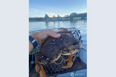 3105 K Avenue, Anacortes, WA 98221 - Photo 37