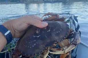 3105 K Ave, Anacortes, WA 98221 - Photo 37