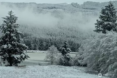 752 Parpala, Naselle, WA 98638 - Photo 35