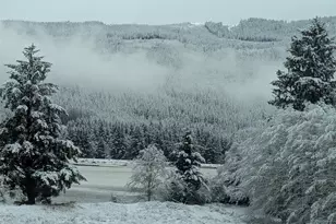 752 Parpala, Naselle, WA 98638 - Photo 35