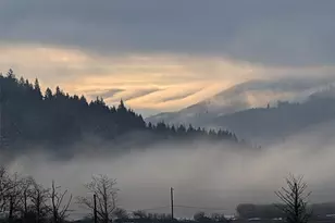 752 Parpala, Naselle, WA 98638 - Photo 33