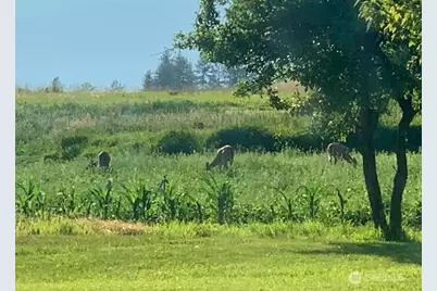 5787 Fruitland Valley Rd, Fruitland, WA 99129 - Photo 29