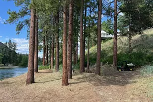 3A Ross Rd, Twisp, WA 98856 - Photo 39