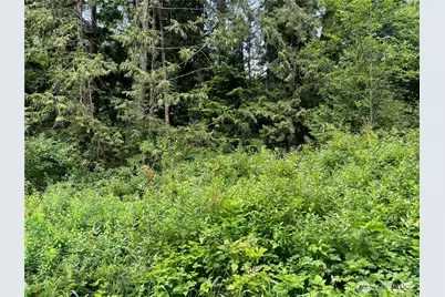 0 Cain Lake Road, Sedro Woolley, WA 98284 - Photo 5