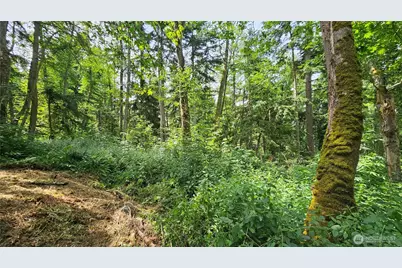 0 Xxxb Dove Drive, Camano Island, WA 98282 - Photo 11