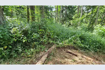 0 Xxxb Dove Drive, Camano Island, WA 98282 - Photo 9