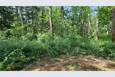 0 Xxxb Dove Drive, Camano Island, WA 98282 - Photo 1