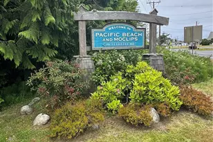 100 N 1st St, Pacific Beach, WA 98571 - Photo 37