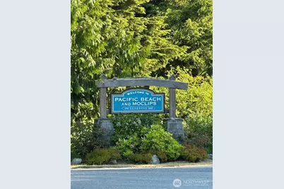 102 N 1st Street, Pacific Beach, WA 98571 - Photo 35