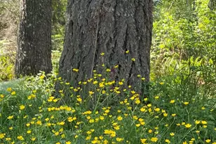 36508 312th Ave SE, Enumclaw, WA 98022 - Photo 17