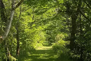 36508 312th Ave SE, Enumclaw, WA 98022 - Photo 15