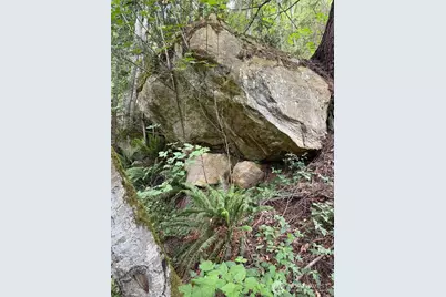 36508 312th Avenue SE, Enumclaw, WA 98022 - Photo 7
