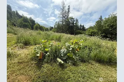 36508 312th Avenue SE, Enumclaw, WA 98022 - Photo 9