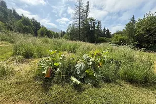 36508 312th Ave SE, Enumclaw, WA 98022 - Photo 9