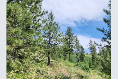 0 Roundabout Road, Tonasket, WA 98859 - Photo 7