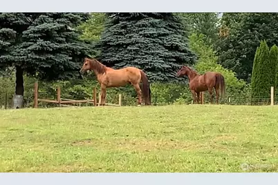 19910 NE 356th Street, Yacolt, WA 98675 - Photo 35