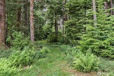 33 Rustemeyer Road, Aberdeen, WA 98520 - Photo 39