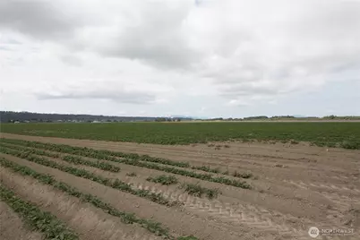 0 Downey Road, Mount Vernon, WA 98273 - Photo 7