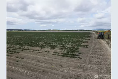 0 Downey Road, Mount Vernon, WA 98273 - Photo 9