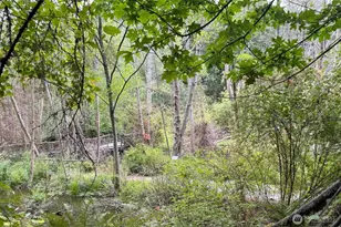 132 N 101st St, Seattle, WA 98133 - Photo 27