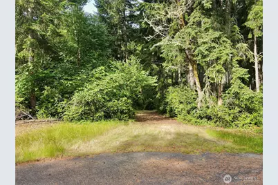 11422 Leschi Circle, Anderson Island, WA 98303 - Photo 37