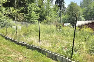 8309 Jensen Rd E, Eatonville, WA 98328 - Photo 17