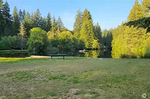 278 Osborn Rd, Ashford, WA 98304 - Photo 29