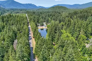 278 Osborn Rd, Ashford, WA 98304 - Photo 25