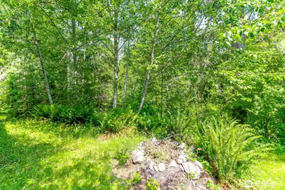 278 Osborn Road, Ashford, WA 98304 - Photo 21