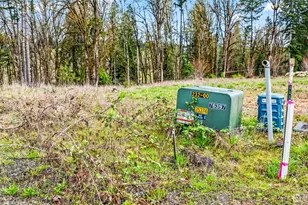 911 Mill Creek, Shelton, WA 98584 - Photo 11