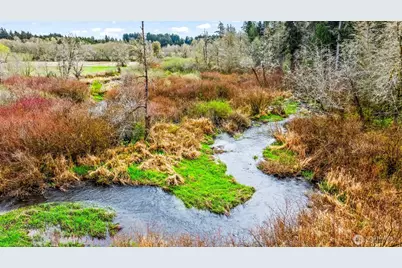 911 Mill Creek, Shelton, WA 98584 - Photo 9