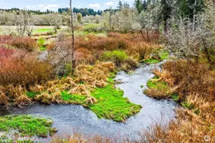 911 Mill Creek, Shelton, WA 98584 - Photo 9