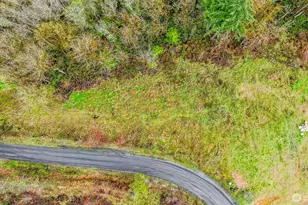 911 Mill Creek, Shelton, WA 98584 - Photo 5